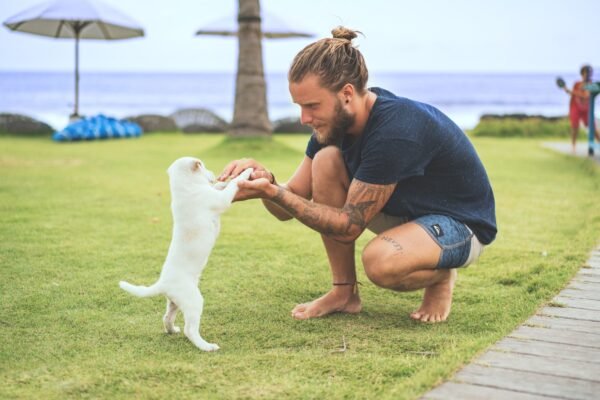 What Pets Experience in Pet Heaven According to Pet Psychics: Answers to Your Questions