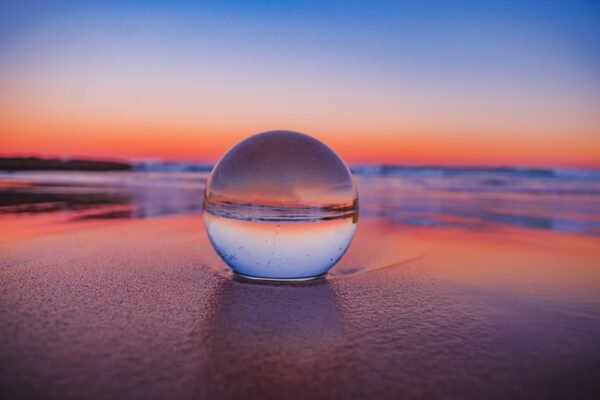 A Guide to Finding a Reputable Pet Psychic: Connect with Your Deceased Pet